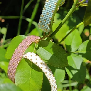 Pulsera LIRA