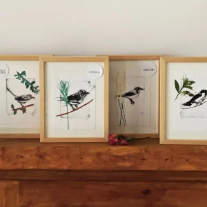 Pájaros de primavera